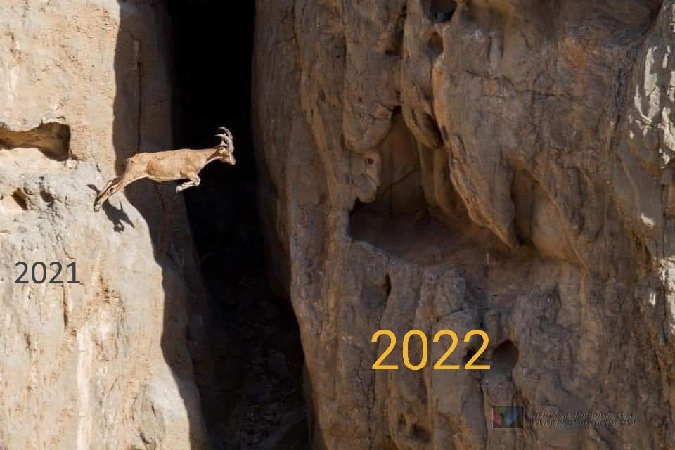 2022