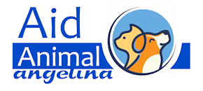 Animal Aid Angelina - Help and Care