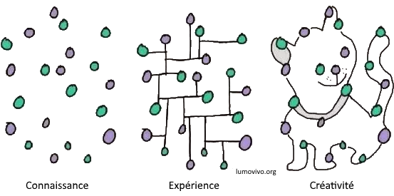 Organisation créative